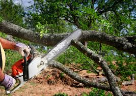 Best Lot and Land Clearing  in Roosevelt, NJ